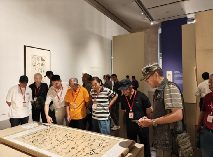金山区组织开展“金山老兵看上海”主题活动